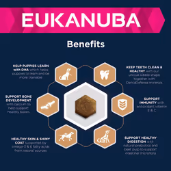 Eukanuba Complete Dry Dog Food for Junior Puppy Large and Giant Breeds with Fresh Chicken 15 kg