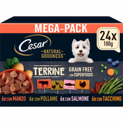 CESAR Natural Goodness Mixed Selection in Loaf 24x100g