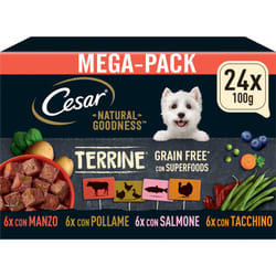 CESAR Natural Goodness Mixed Selection in Loaf 24x100g