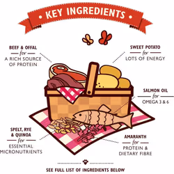 Lily?s Kitchen Made with Natural Ingredients Adult Dry Dog Food Beef Stew with Ancient Grains 7kg Bag