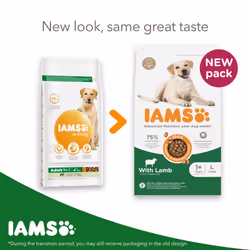 IAMS Complete Dry Dog Food for Adult 1+ Large Breeds with Lamb 12 kg