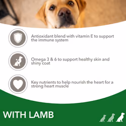 IAMS Complete Dry Dog Food for Adult 1+ Large Breeds with Lamb 12 kg