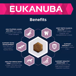 Eukanuba Complete Dry Dog Food for Puppy Small Breeds with Fresh Chicken 3 kg