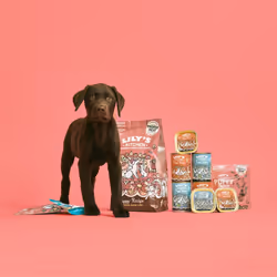 Lily's Kitchen Puppy Recipe With Turkey Wet Dog Food (6 x 400 g)