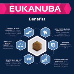 Eukanuba Complete Dry Dog Food for Mature Senior Large and Giant Breeds with Fresh Chicken 15 kg