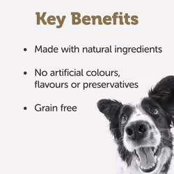 Applaws 100% Natural Wet Dog Food Tin, Grain Free Chicken and Meat Selection in Gravy 8 x 156g Tins