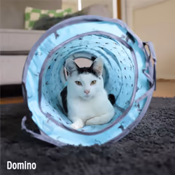 Rosewood Battersea Pop Up Tent and Tunnel for Cats, 2PC Foldaway Cat Toy, Fun Tent Hideaway with Plush Cat Ball Toy and Tunnel in Battersea Print,