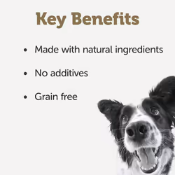 Applaws Natural Wet Dog Food Tin, Grain Free Meat Selection with Vegetables in Jelly 156g (8 x 156g Tins)