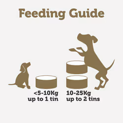 Applaws Natural Wet Dog Food Tin, Grain Free Meat Selection with Vegetables in Jelly 156g (8 x 156g Tins)