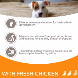 IAMS Complete Dry Dog Food for Puppy Small and Medium Breeds with Chicken 12 kg