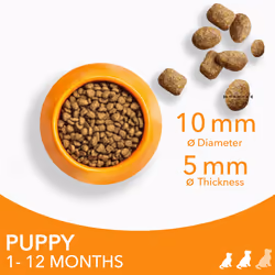 IAMS Complete Dry Dog Food for Puppy Small and Medium Breeds with Chicken 12 kg