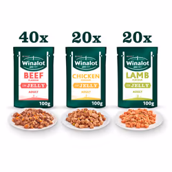 Winalot Meaty Chunks Mixed in Jelly Wet Dog Food 80x100g