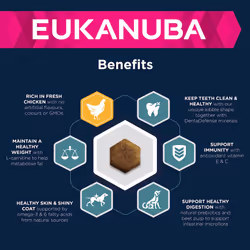 Eukanuba Complete Dry Dog Food for Adult Medium Breeds with Fresh Chicken 15 kg