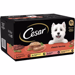 Cesar ClassicTerrine Dog Food Wet - Mixed Selection in Jelly, 8x150g (Pack of 3)