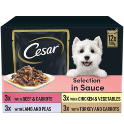 CESAR Pouch Selection in Sauce, Fresh Adult Wet Dog Food Pouches in Delicious Sauce with Succulent Meats and Vegetables, 48 x 100 g