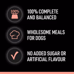 CESAR Pouch Selection in Sauce, Fresh Adult Wet Dog Food Pouches in Delicious Sauce with Succulent Meats and Vegetables, 48 x 100 g
