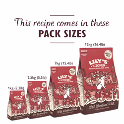 Lily's Kitchen Made with Natural Ingredients Adult Dry Dog Food Duck Salmon & Venison Grain-Free Recipe 4kg (pack 4x1kg)