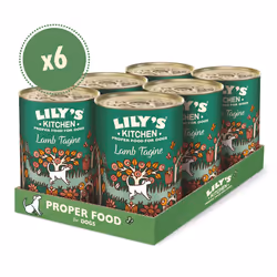 Lily's Kitchen Made with Natural Ingredients Lamb Tagine Adult Wet Dog Food 6 x 400g