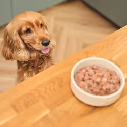 Lily's Kitchen Made with Natural Ingredients Beef Goulash Adult Wet Dog Food 10 x 150g