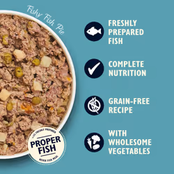Lily's Kitchen Fishy Fish Pie - Complete Natural Adult Dog Food Wet (10 x 150g Trays)