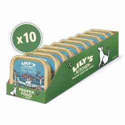 Lily's Kitchen Fishy Fish Pie - Complete Natural Adult Dog Food Wet (10 x 150g Trays)
