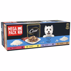 CESAR Senior Dog Pouches Sauce Selection in Jelly 40x100g