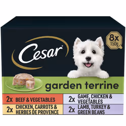 Cesar Garden Terrine Adult Wet Dog Food, Mixed Selection in Loaf, Garnished with Garden Vegetables, 8 x 150 g Trays (Pack of  ...