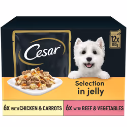 CESAR Pouch Selection in Jelly, Fresh Adult Wet Dog Food Pouches in Delicious Jelly with Succulent Meats and Vegetables, 48 x ...