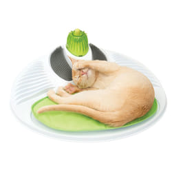 Catit Senses Wellness Centre,Green