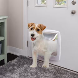 Ferplast Swing 11 Universal Cat Flap for Dogs and Cats - 4 Selectable Closing Modes - Wind-Stopper System - Closing Shock Absorber - Magnetic