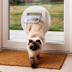 Sure Petcare SureFlap Pet Door Mounting Adaptor, Used with Sure Petcare SureFlap Microchip Pet Door and Pet Door Connect for Cats and Small Dogs,