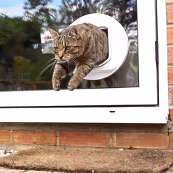 SureFlap Sure Petcare DualScan Microchip Cat Flap, RFID Collar Tags and Microchip Compatible, One-Button Control, Install in Doors, Windows and Walls,