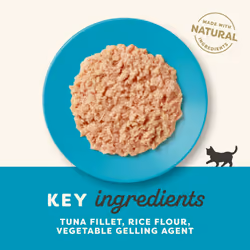 Applaws Natural Wet Kitten Food, Tuna in Jelly Tin, 70g (Pack of 24) (Packaging May Vary)