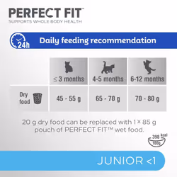 Perfect Fit Junior