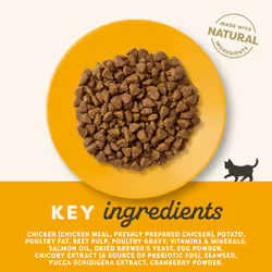 Applaws Complete and Grain Free Dry Kitten Food, Kitten Chicken for all Cats, 2 kg Bag (Pack of 1)