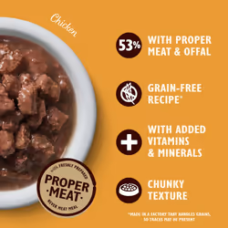 Lily's Kitchen Natural Adult Wet Cat Food in Gravy - Tasty Cuts Mixed Multipack - Complete Grain-Free Recipes (48 Tins x 85g)