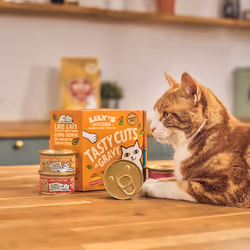 Lily's Kitchen Natural Adult Wet Cat Food in Gravy - Tasty Cuts Mixed Multipack - Complete Grain-Free Recipes (48 Tins x 85g)