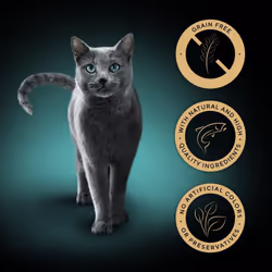 SHEBA Natures Collection Cat Pouches Fish Collection in Gravy 12x85g (pack of 4)