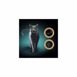Sheba Fillets Cat Food Tray with Chicken and Tuna (MSC) in Gravy 2x16x60g