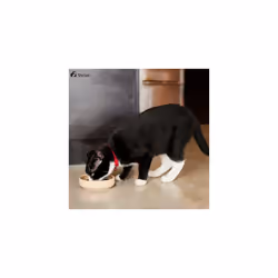 thrive Cat PremiumPlus Dry Food- CHICKEN with TURKEY 1.5kg