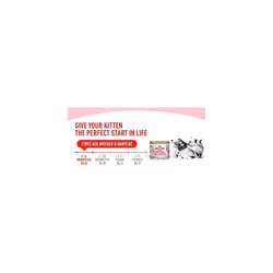 Royal Canin First Age Mother & Babycat Mousse 6 x 195g