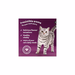 WHISKAS Cat Pouches Aromatic Seafood in Gravy 4x 12x85g ? Delicious Wet Cat Food with Seafood Flavor