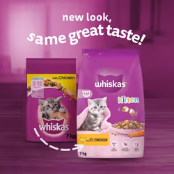 Whiskas Junior Chicken 7 kg Bag, Kitten Cat Dry Food - Pack May Vary