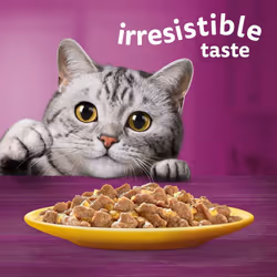 WHISKAS - 7+ Senior Wet Cat Food Pouches - 120 x 85 g - In Jelly - Bulk Cat Food Megapack - 120 Pouches