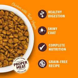 Lily's Kitchen Made with Natural Ingredients Adult Dry Cat Food Bag Chicken with Veggies Grain-Free Recipe 2kg