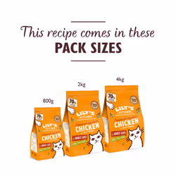 Lily's Kitchen Made with Natural Ingredients Adult Dry Cat Food Bag Chicken with Veggies Grain-Free Recipe 2kg