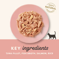 Applaws 100% Natural Adult Wet Cat Food, Tuna Fillet with Salmon in Broth 70g Pouch (12 x 70g Pouches)
