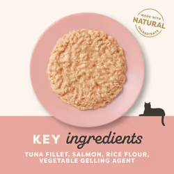 Applaws Natural Senior Wet Cat Food,Tuna with Salmon in a Soft Mousse Jelly 70g Tin (Pack of 24 x 70g Tins)