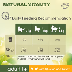 Perfect Fit Natural Vitality Dry Cat Food Adult 1+ - Complete Dry Food for Adult Cats from 1 Year Old, Rich in Chicken and Turkey ? 6 kg (Pack of 1)