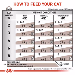 Royal Canin Veterinary Diet Cat - Gastro Intestinal Wet Cat Food Pouch 12 x 85g